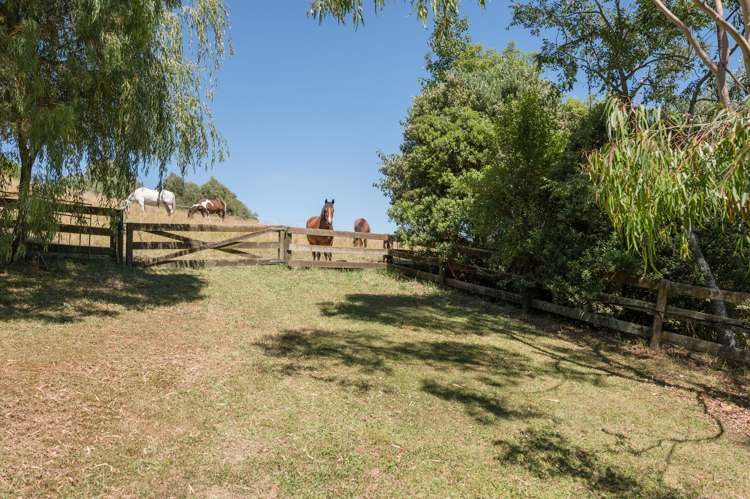 118 Champion Road Richmond_5