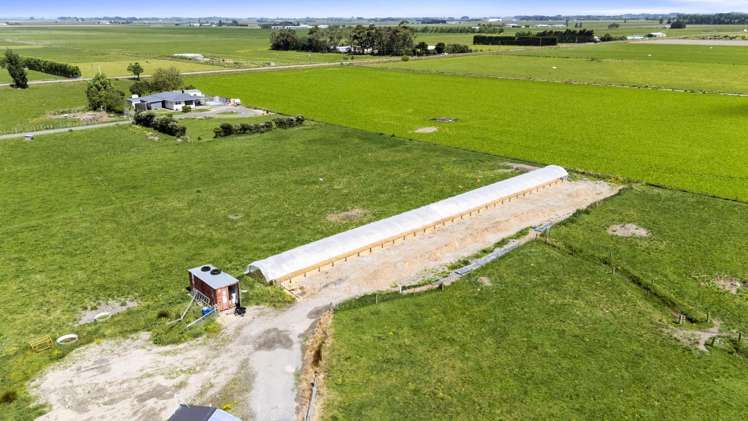 145 Campbells Road Opiki_11