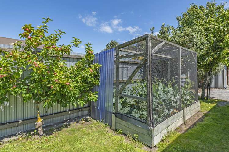 138a High Street Leeston_29