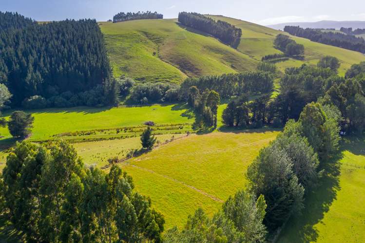 835 Lawrence Waitahuna Highway Waitahuna_20