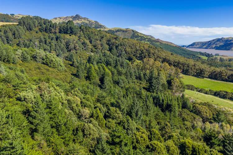 166 Okuti Valley Road, RD 1 Little River_24