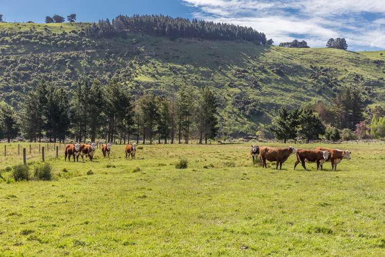 1339 Okains Bay Road Okains Bay_25