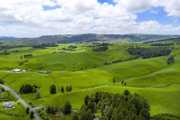 467A Te Mata Road Raglan_9