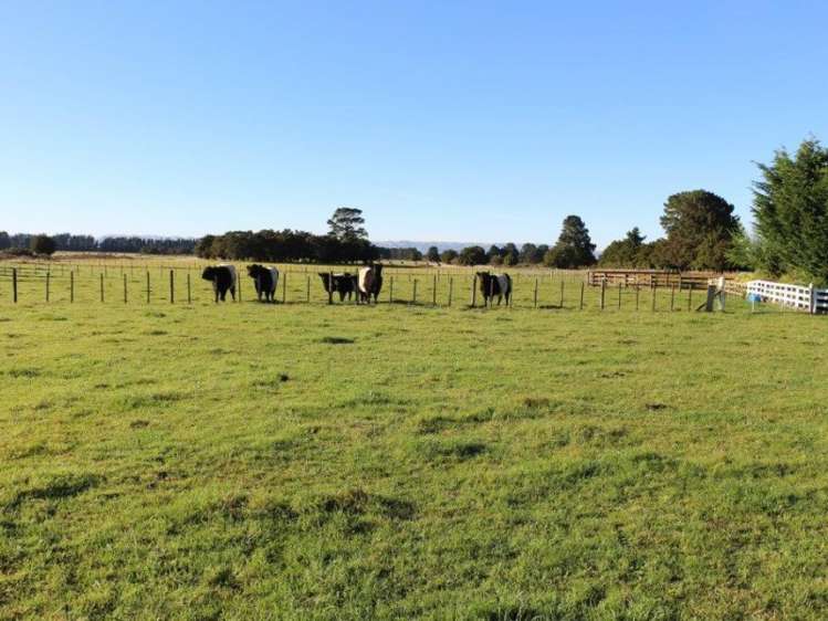 714 Chester Road Carterton_7