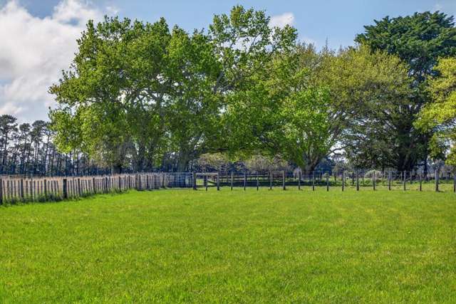 2 / 36A Spencer Lane Greytown_3