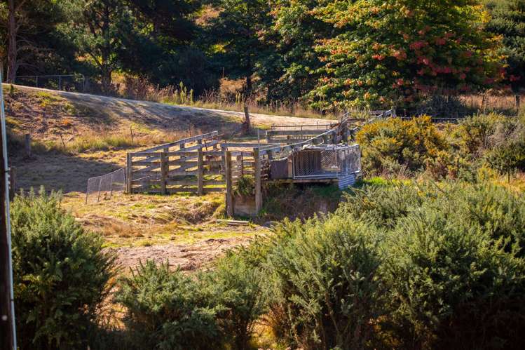 202 Rose Road Upper Moutere_14