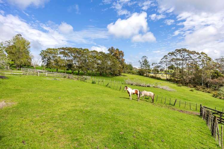 355 Bawden Road Dairy Flat_7