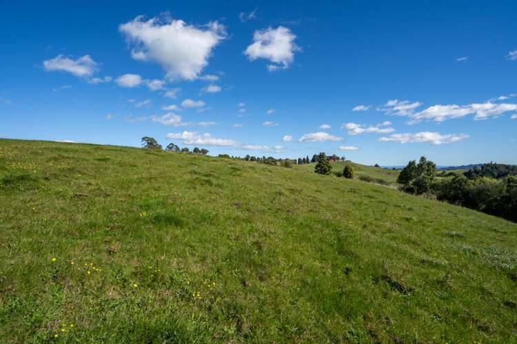 Lot2,4 771 Taotaoroa Road Cambridge_8