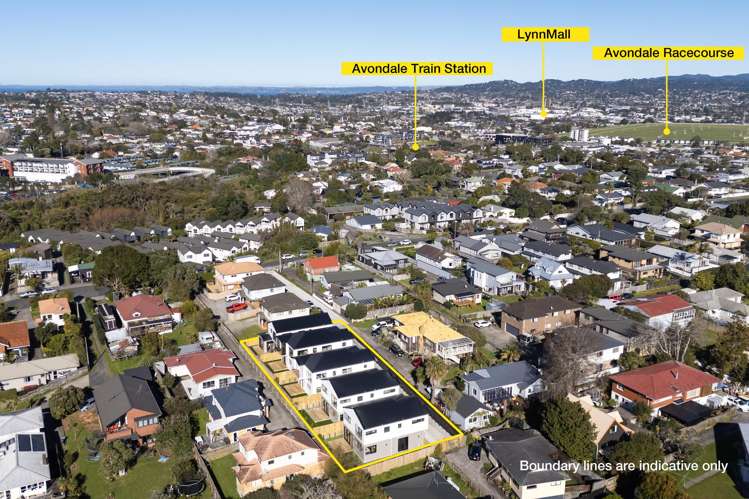 36F Powell Street Avondale_9