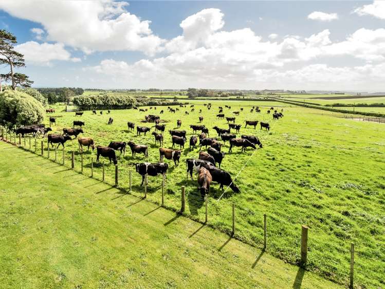 3168 State Highway 3 Waitotara_3