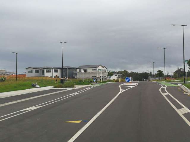 2 Observation Green Hobsonville_2