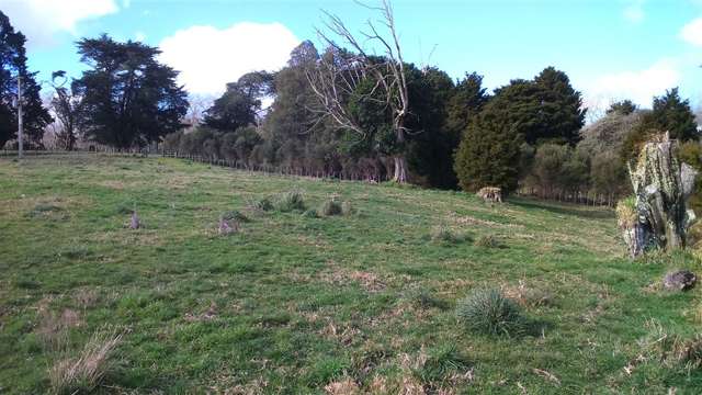 554a Te Pua Road Kaikohe_3