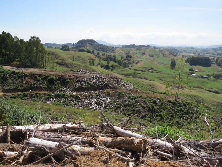 Waitomo Valley Road Otorohanga_17