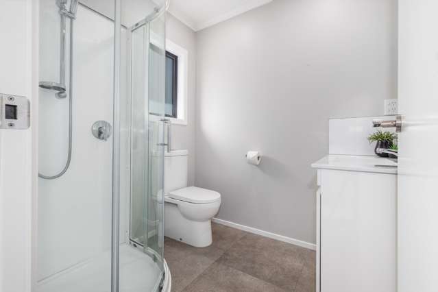 24A Kings Drive Levin_4