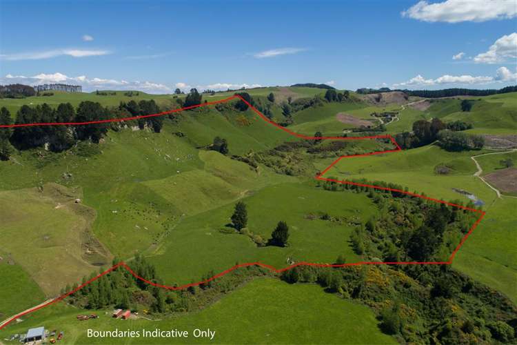 1943 Tutukau Road Wairakei and Surrounds_13