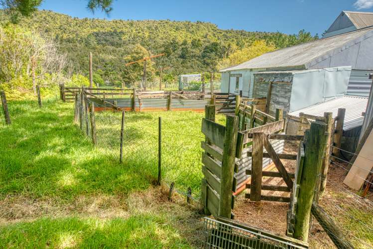 19 Baty Place Coal Creek_50