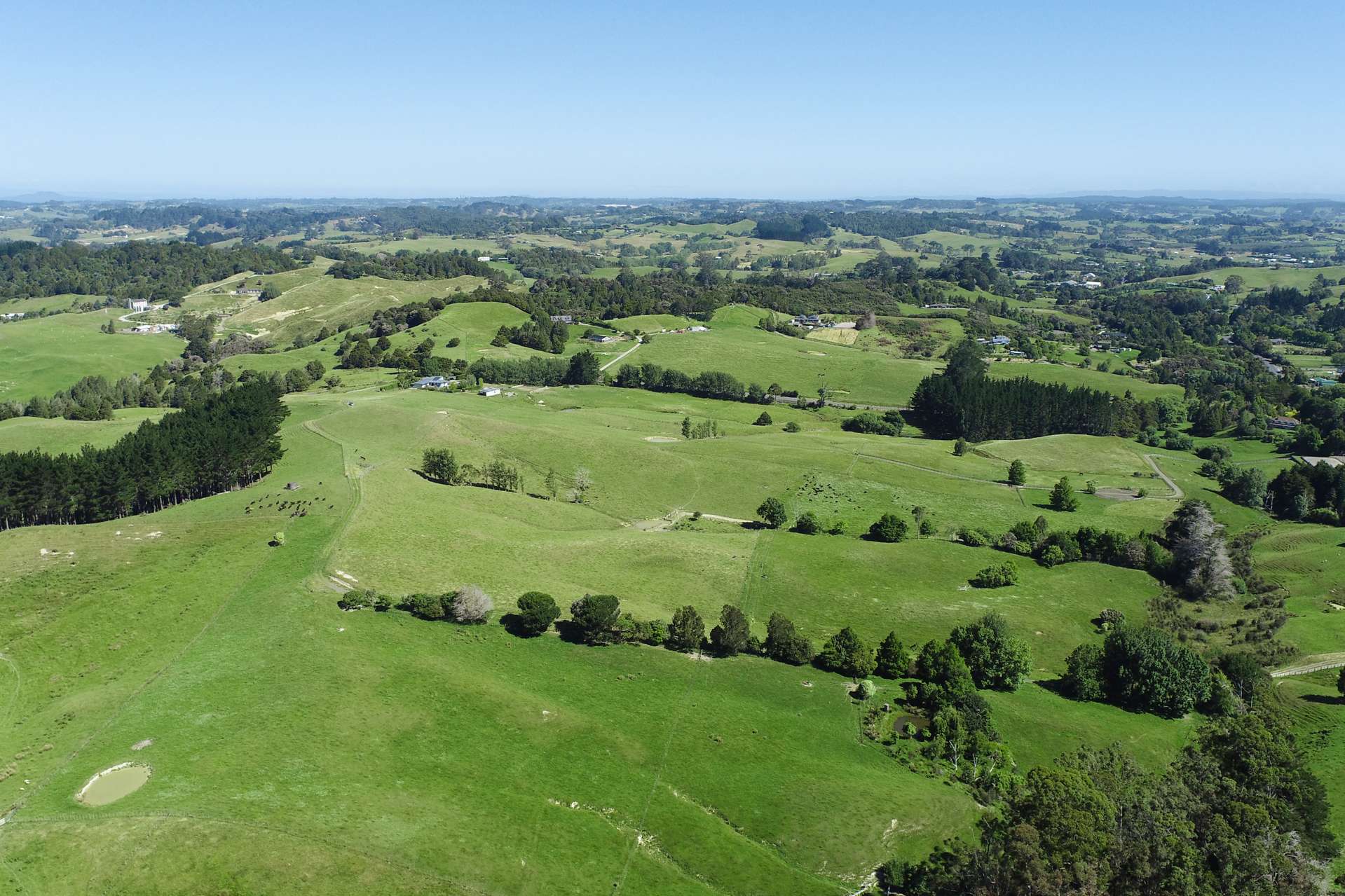 Monowai Road Wainui_0