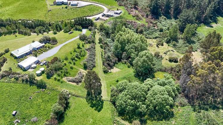 253A Kokotau Road Kokotau_48