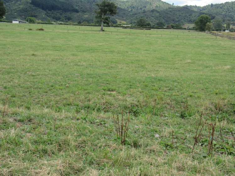 6 Wallbank Road Ngaruawahia_5