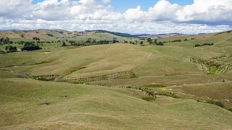 2586 State Highway 2 Maramarua_13