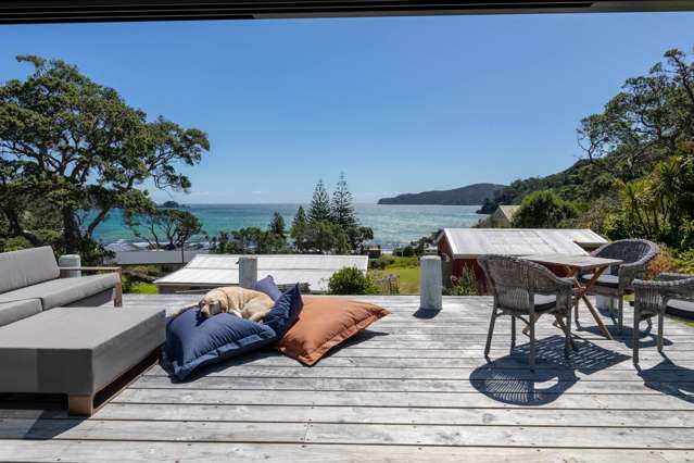 Escape to Paradise on Great Barrier Island