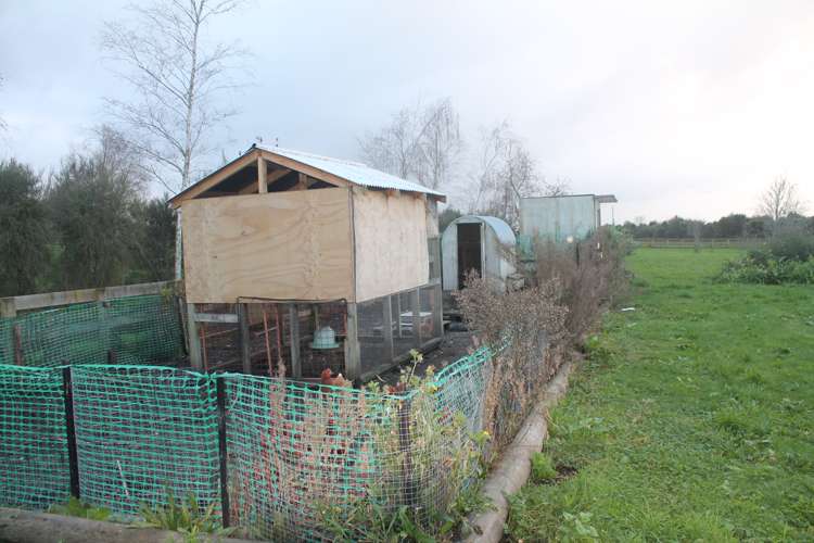 239 Houchens Road Glenview_24