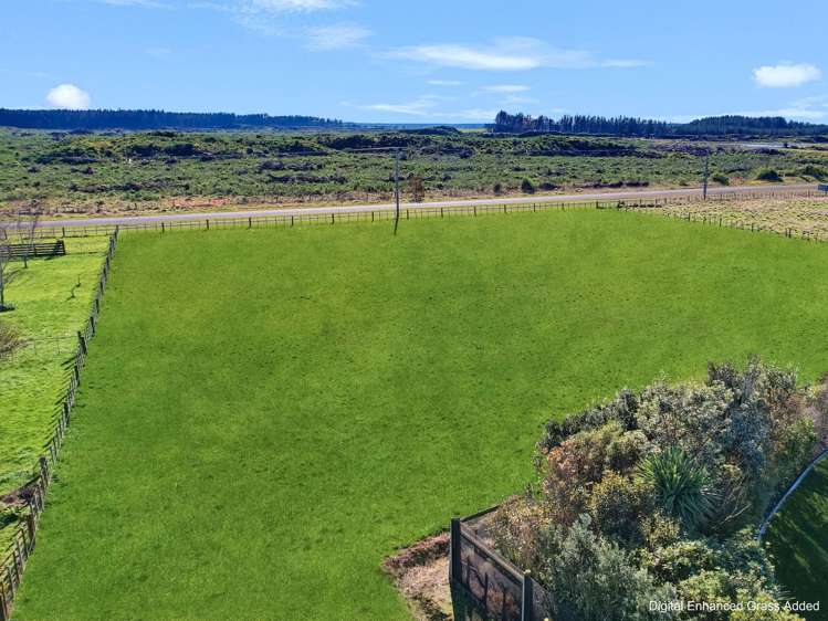 3 Carex Grove Foxton Beach_8