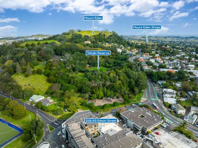 219/43 Edwin Street Mount Eden_3