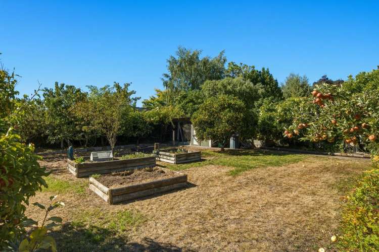 189 Redwood Street Witherlea_20