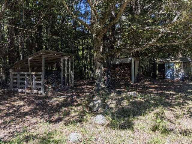 8586 Wairau Valley Highway St Arnaud_4