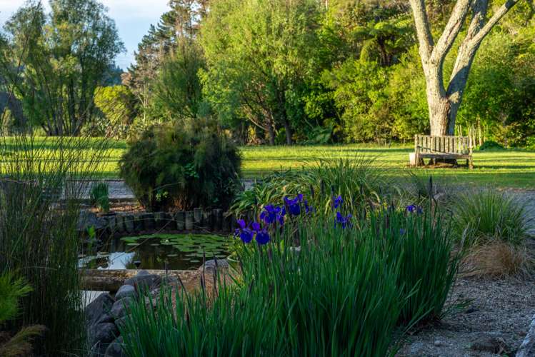 58 Mcmillan Road Hauraki Surrounds_5