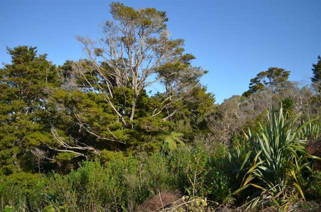 Lot 1/117 Arran Point Parade Orewa_2