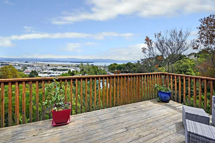 3 Kamahi Way Tahunanui_3