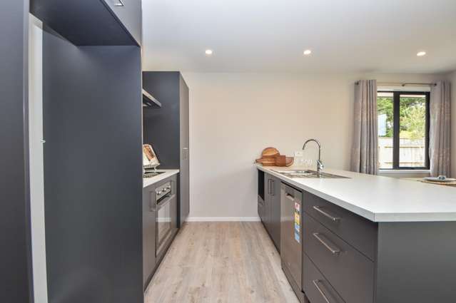 3/93 Harley Street Masterton_3