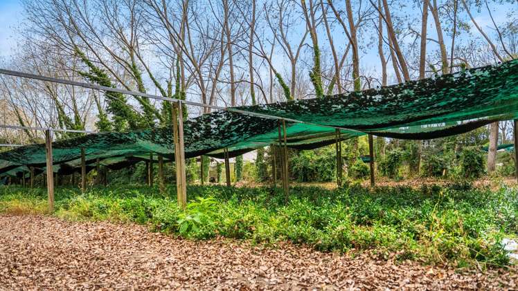 80 Drury Hills Road Drury_13