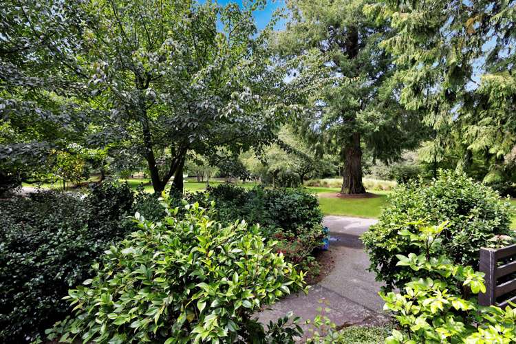 106 Park Street Ashburton_91