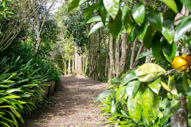 182 Thornton Road Cambridge_2