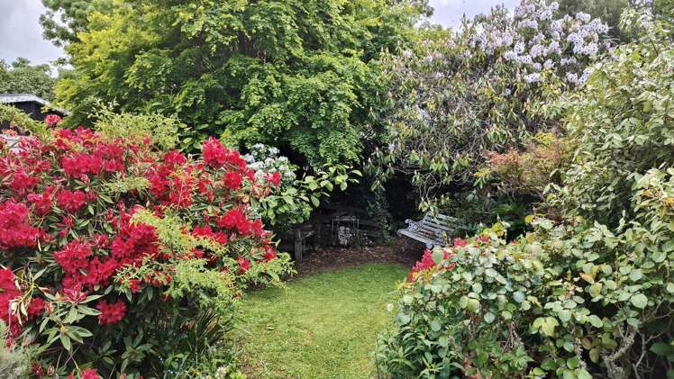 77 Gordon Street Dannevirke_25