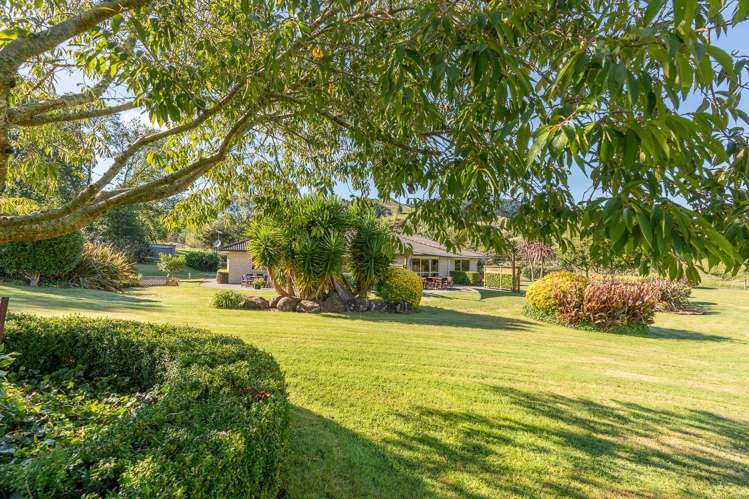 24b Cogswell Road Raglan_31