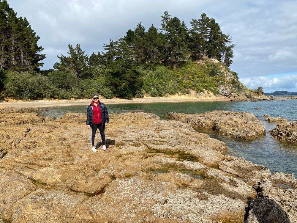 Motuketekete Island is less than 15 minutes from Auckland by helicopter. The 23.88ha island in the Hauraki Gulf is on the market for sale. Photo / Supplied