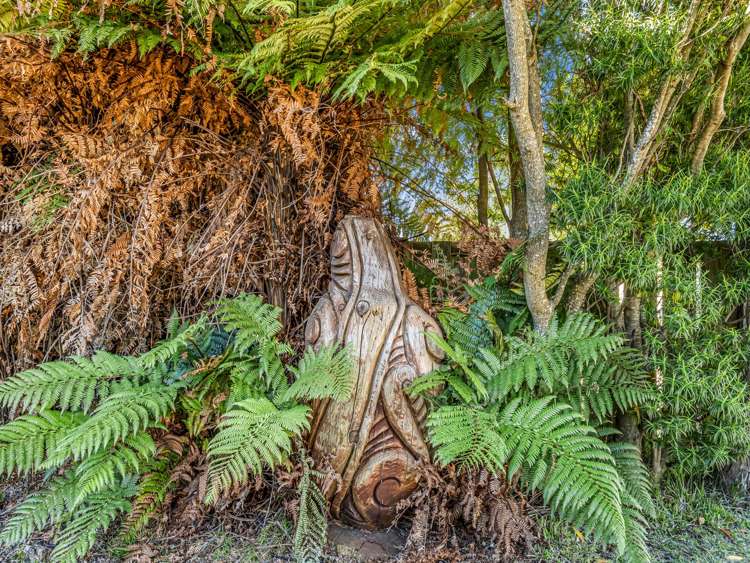 23 Upland Road Western Heights_21