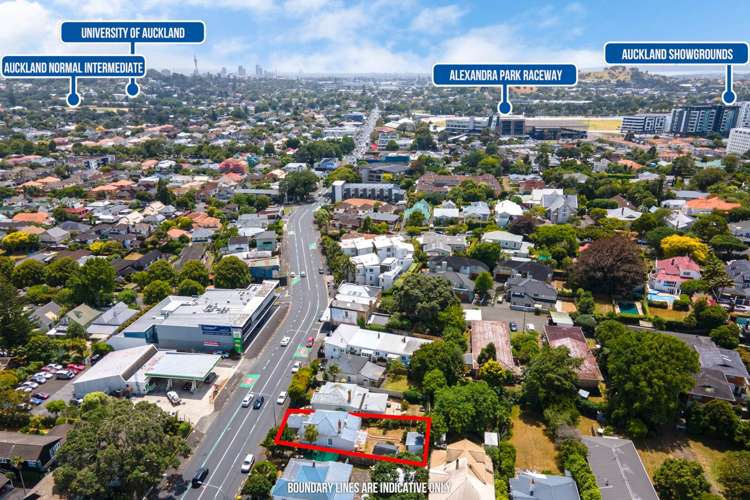 542 Manukau Road Epsom_21