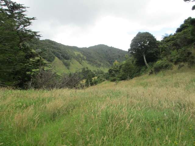 483 Waiotemarama Gorge Road Waimamaku_2