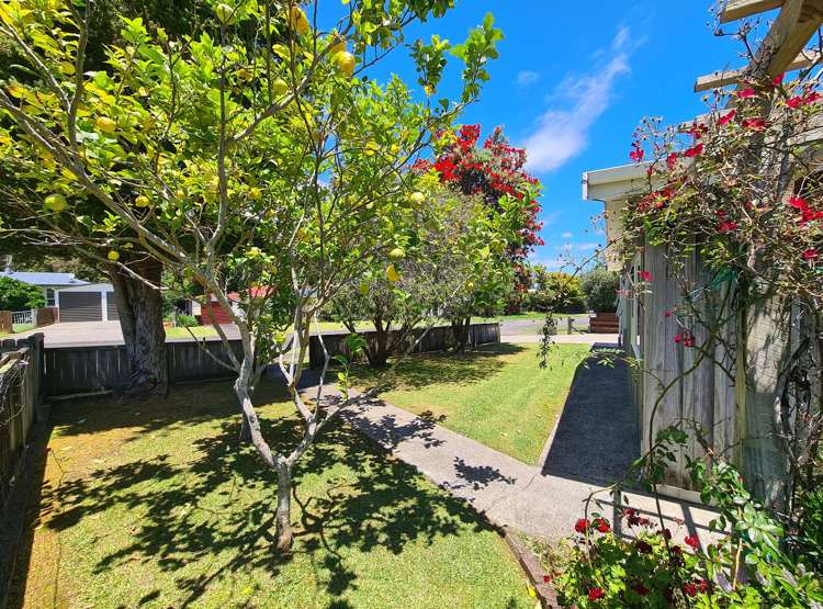 215 Lillis Lane Coromandel_10