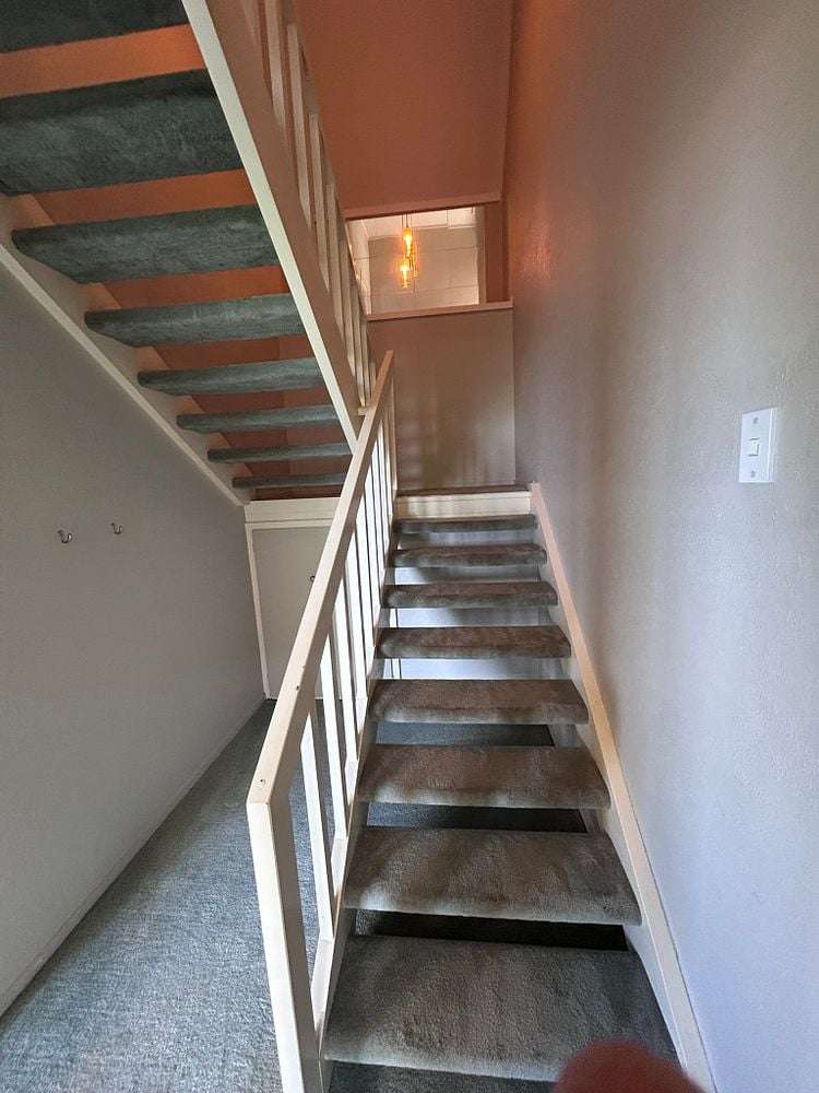 42 Earls Road Saint Clair_6