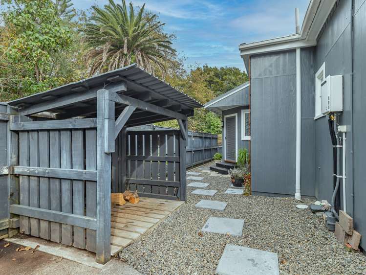 67 Macarthur Street Levin_15