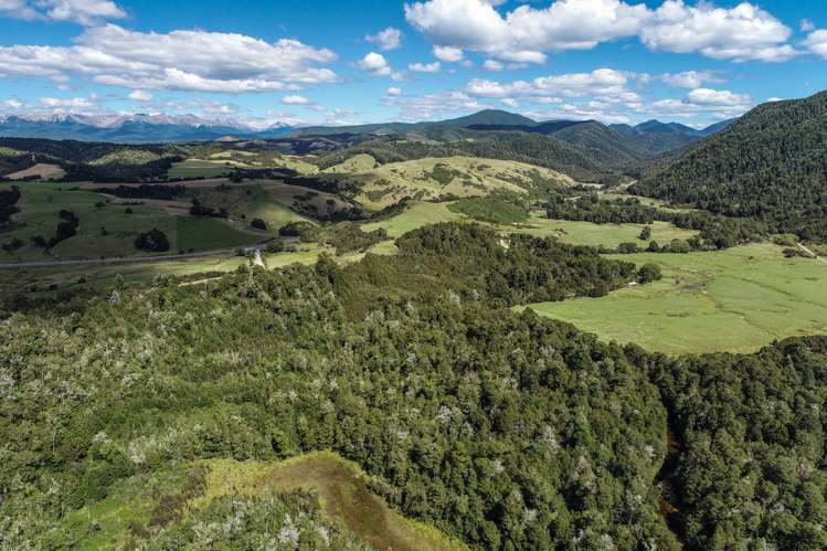 Tadmor-Glenhope Road Tasman_11