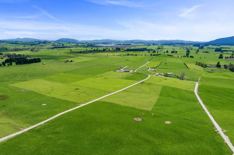 318 Gavin Road Rerewhakaaitu_5