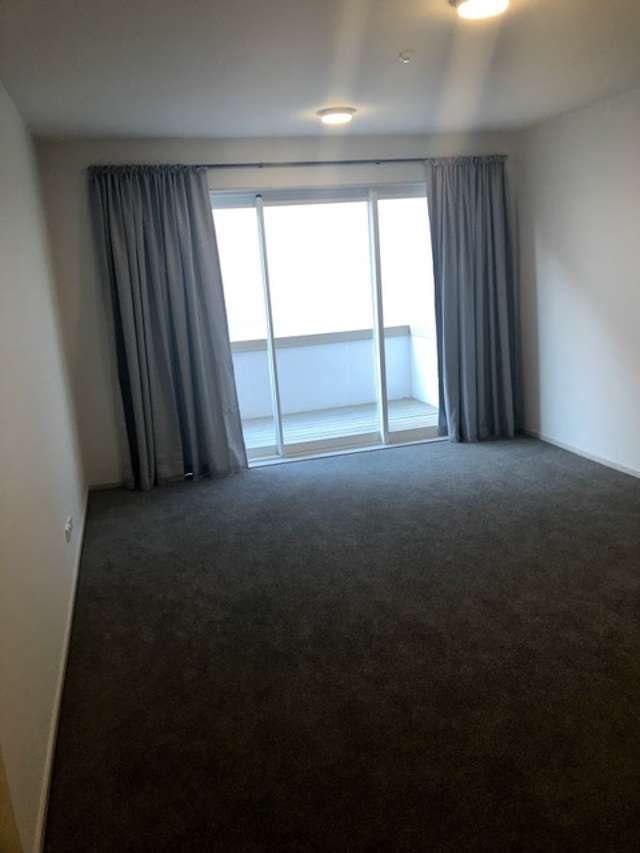 127 Newton Road Eden Terrace_3