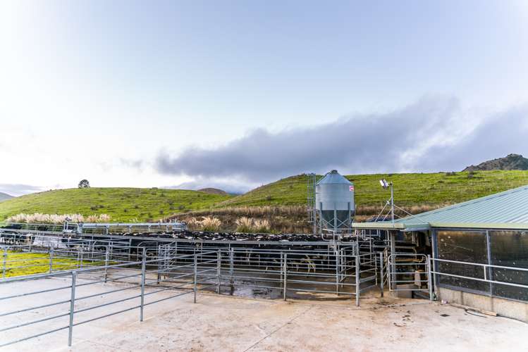 313 Te Wera Road Matawai_7